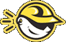 Plugfones Icon